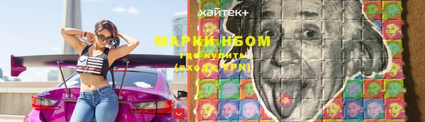 стаф Абинск