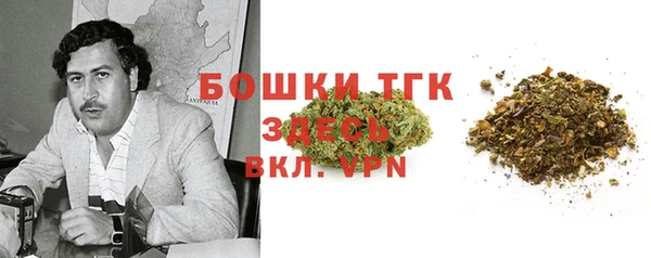 стаф Абинск