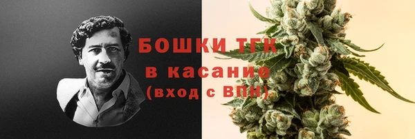стаф Абинск