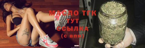 тгк Абаза