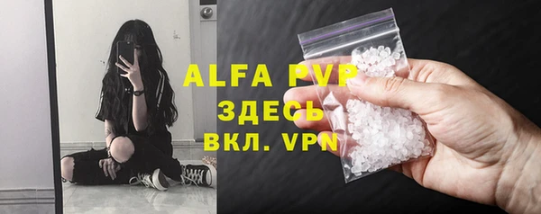 стаф Абинск
