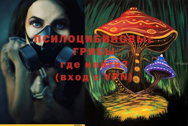 тгк Абаза