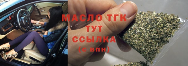 тгк Абаза