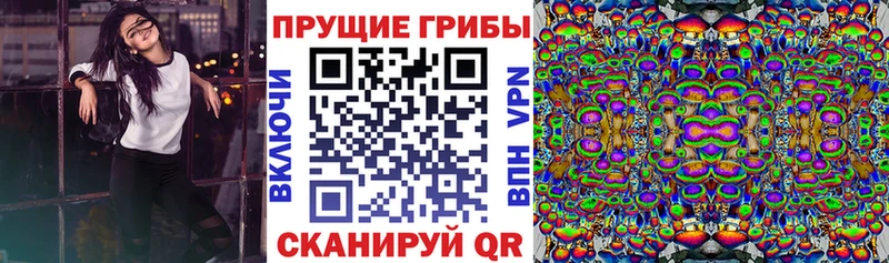 Галлюциногенные грибы Cubensis  MEGA маркетплейс  Яблоновский  где продают  